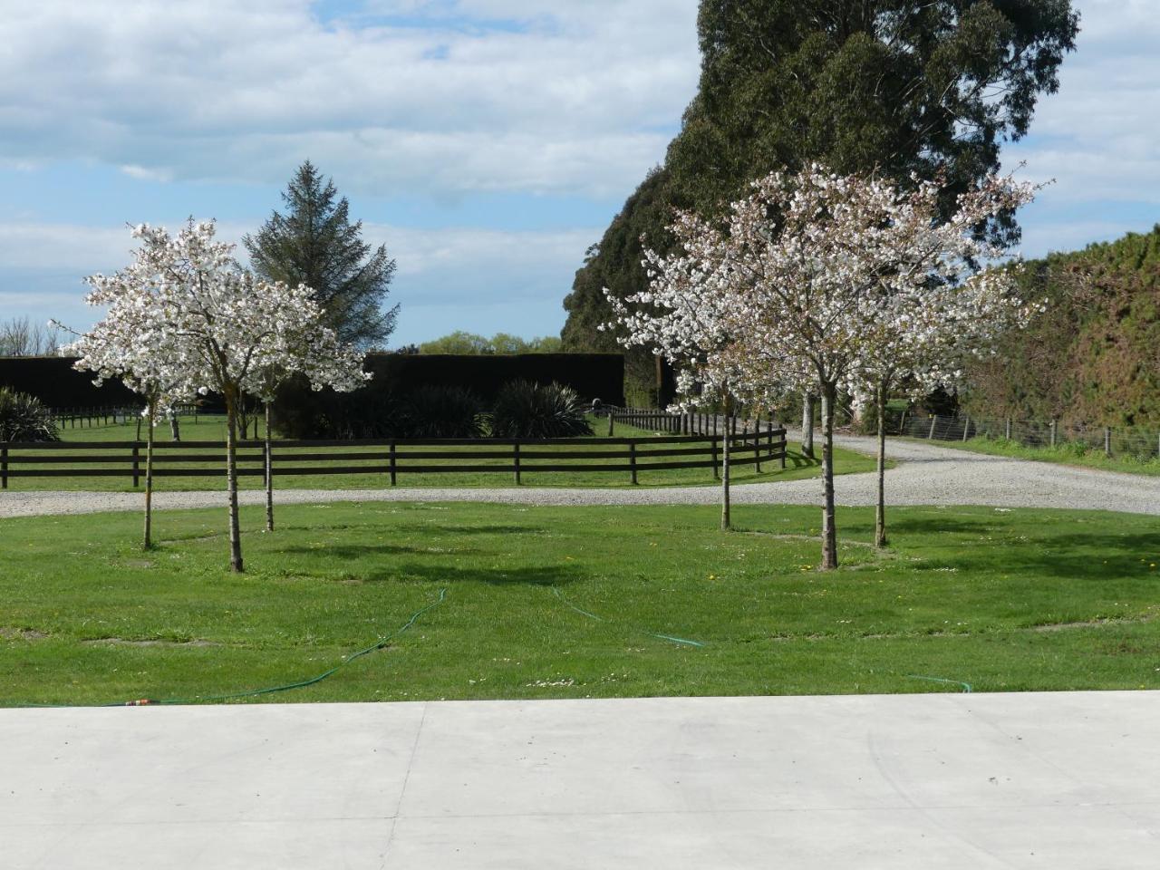 Bramley'S Stables And Accommodation Rangiora Extérieur photo